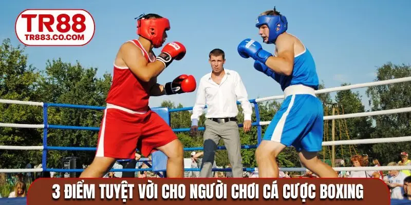 3 điểm tuyệt vời cho người chơi cá cược Boxing