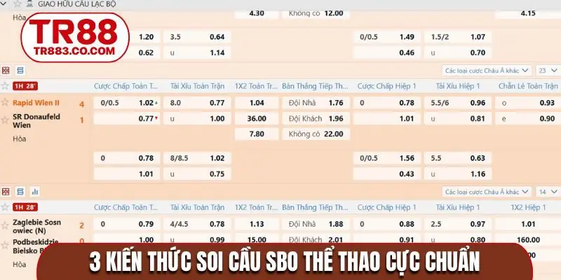 3 kiến thức soi cầu SBO thể thao cực chuẩn
