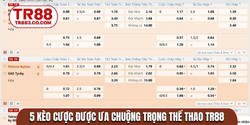 5 kèo cược được ưa chuộng trọng thể thao TR88