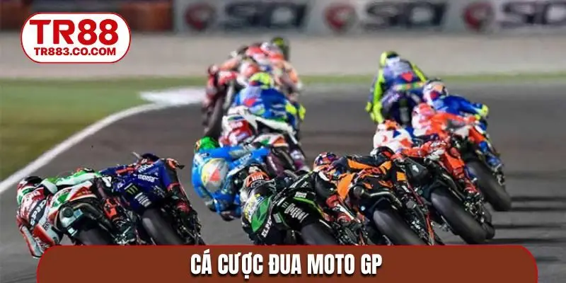 Cá cược đua môt GP