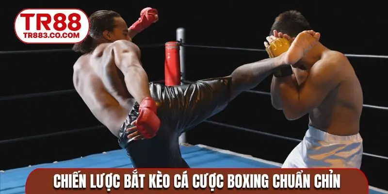 Chiến lược bắt kèo cá cược Boxing chuẩn chỉn
