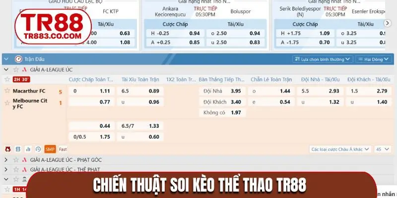 Chiến thuật soi kèo thể thao TR88 bách phát bách trúng