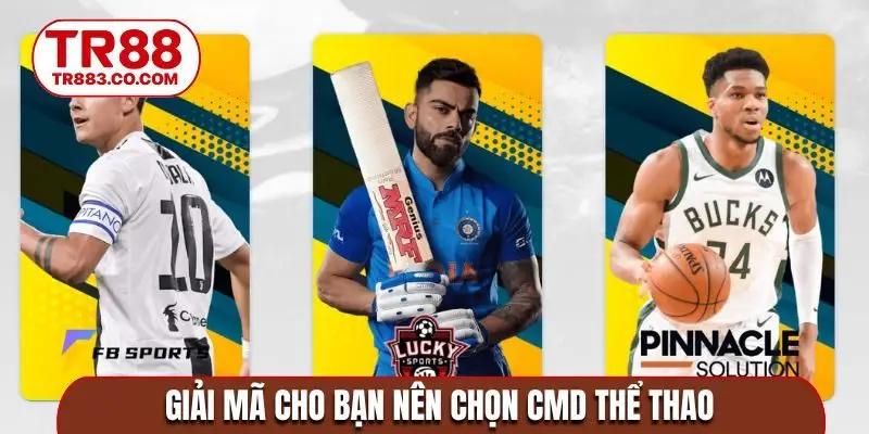 Giải mã cho bạn nên chọn CMD thể thao