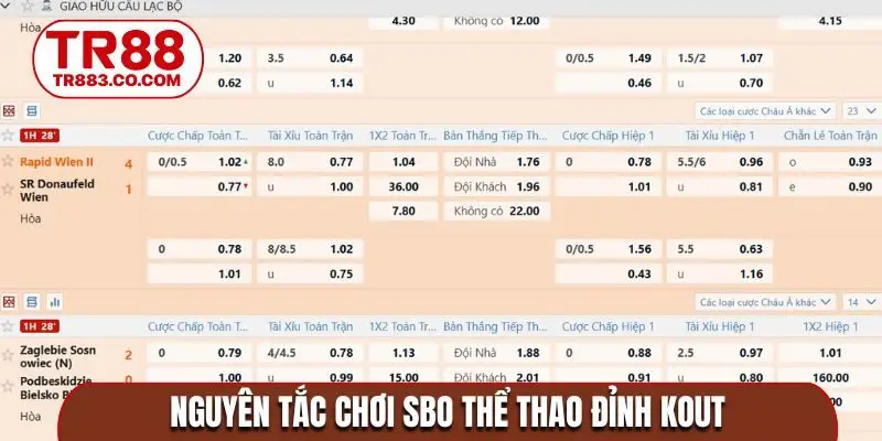 Nguyên tắc chơi SBO thể thao đỉnh kout
