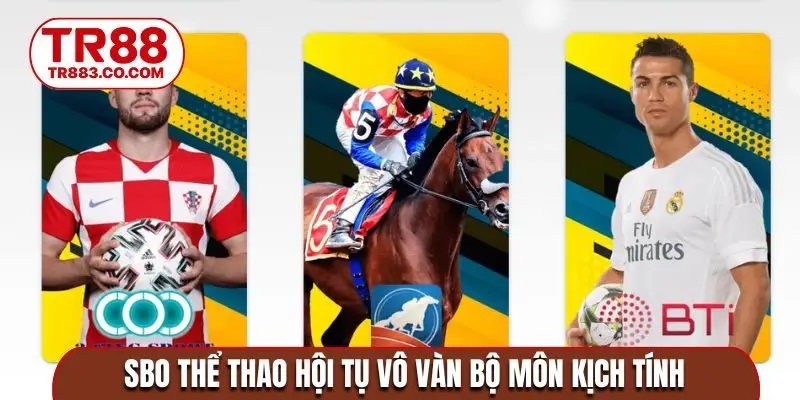 SBO thể thao hội tụ vô vàn bộ môn kịch tính